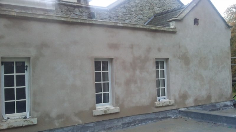 damp house, showing damp on the walls